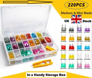 220-piece automotive mini blade fuse assortment kit with pointed terminals in a clear storage case, colour-coded fuses and fuse puller included