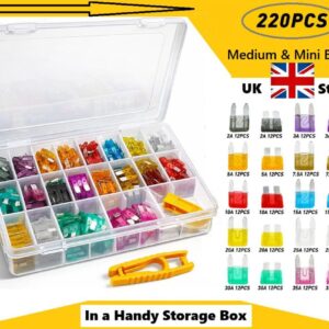 220-piece automotive mini blade fuse assortment kit with pointed terminals in a clear storage case, colour-coded fuses and fuse puller included
