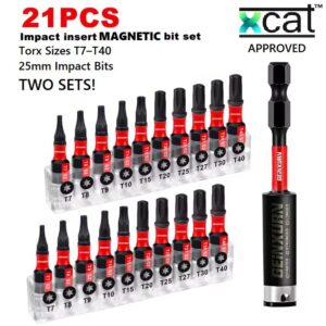 21-piece magnetic Torx insert bit set with two sets of T7–T40 bits and bit holder on a white background